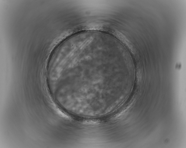 X0000093460721200710261020