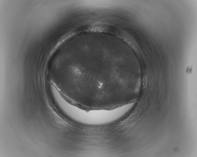 X0000093460722200710261020