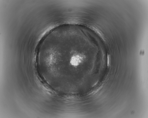 X0000093460723200710261020