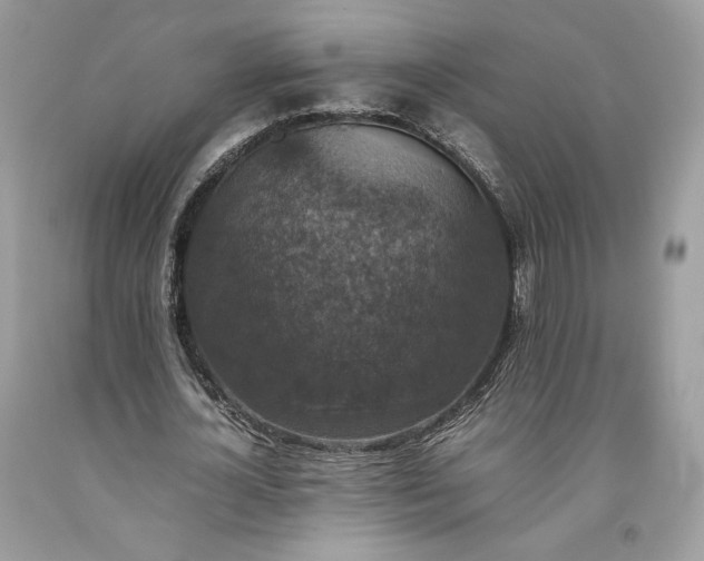 X0000093460724200710261020