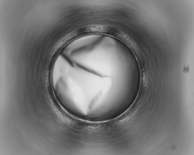 X0000093460725200710261020