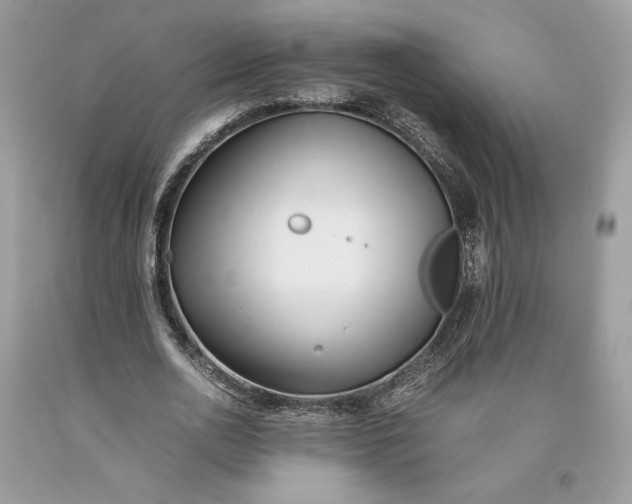 X0000093460726200710261020