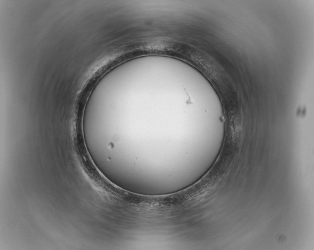 X0000093460728200710261020