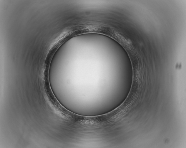 X0000093460730200710261020