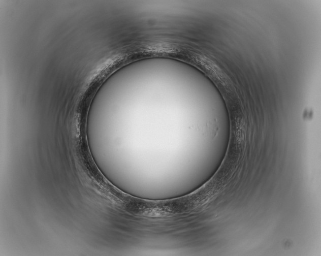 X0000093460731200710261020