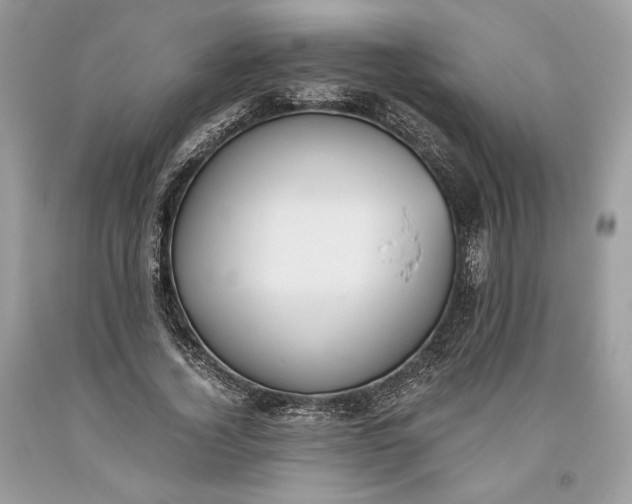 X0000093460732200710261020