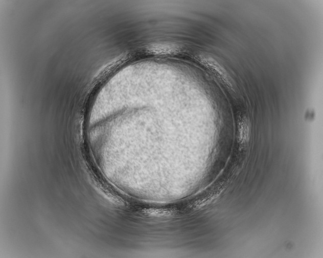 X0000093460733200710261020