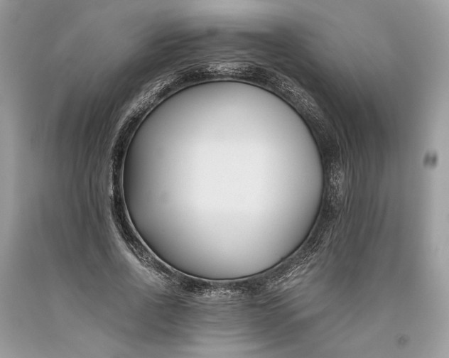 X0000093460734200710261020