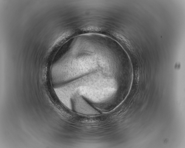 X0000093460735200710261020