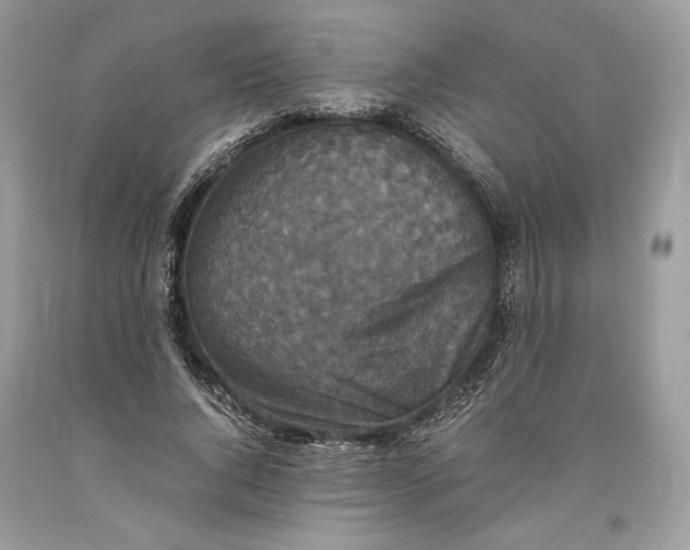 X0000093460736200710261020