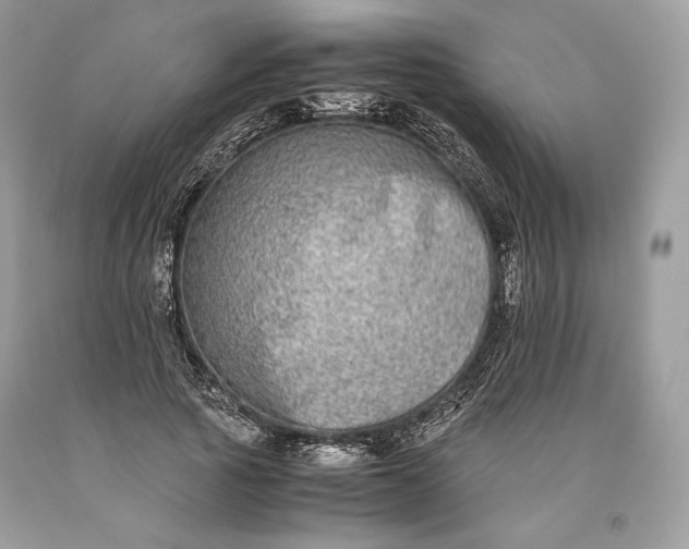 X0000093460737200710261020