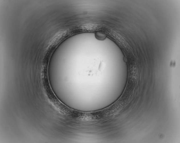 X0000093460738200710261020