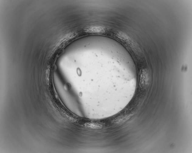 X0000093460739200710261020