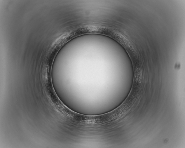 X0000093460740200710261020