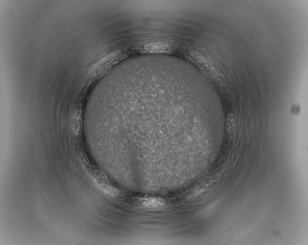 X0000093460741200710261020