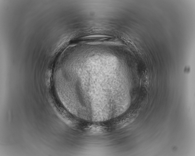 X0000093460742200710261020