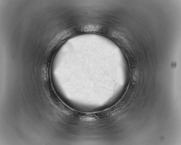 X0000093460743200710261020