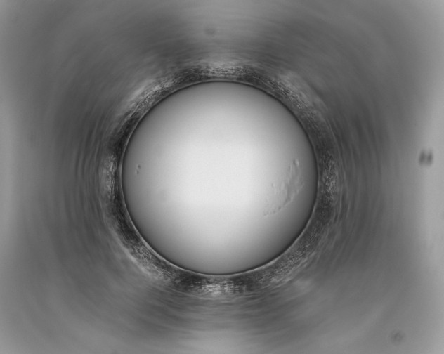 X0000093460744200710261020