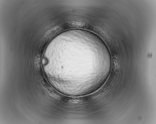 X0000093460745200710261020