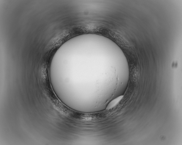 X0000093460746200710261020