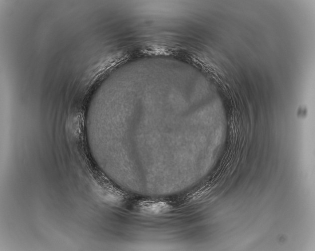 X0000093460747200710261020