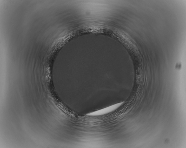 X0000093460748200710261020