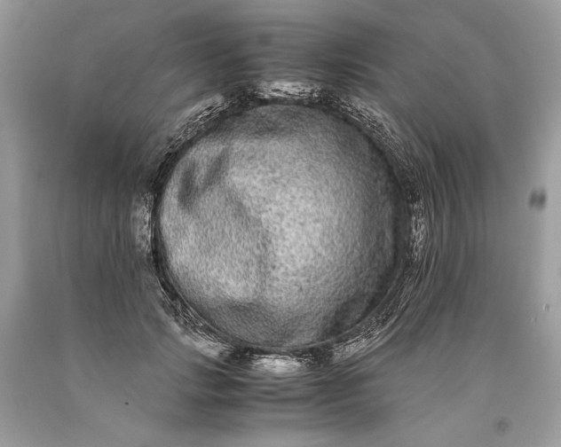 X0000093460749200710261020