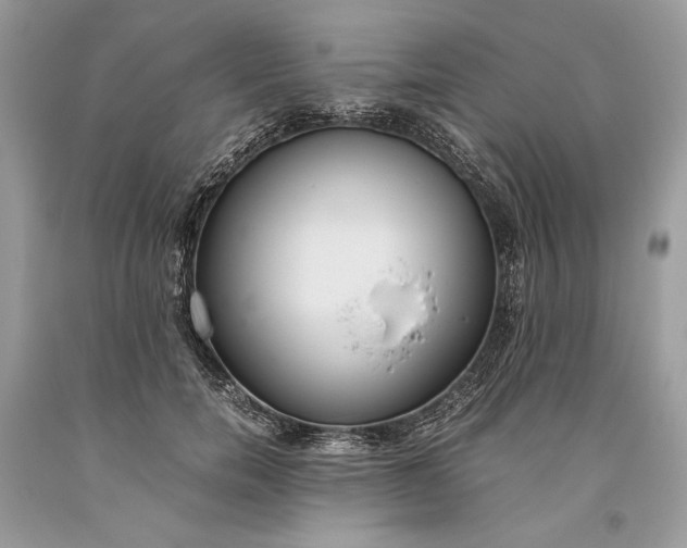 X0000093460750200710261020