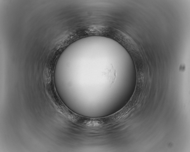 X0000093460751200710261020