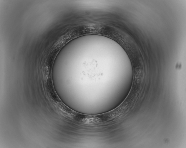 X0000093460752200710261020