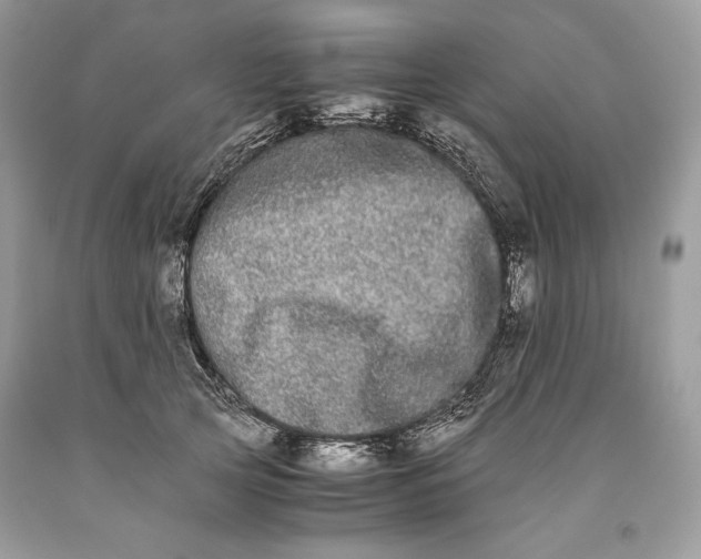 X0000093460753200710261020