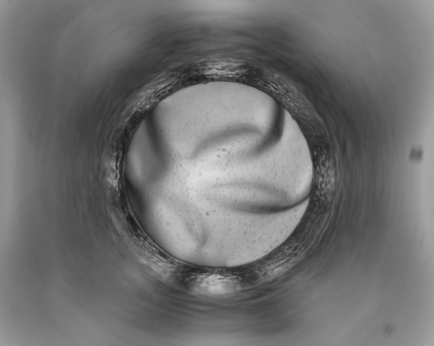 X0000093460755200710261020