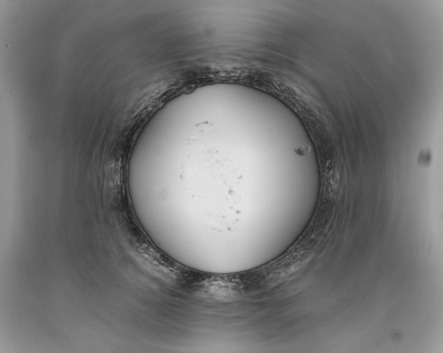 X0000093460756200710261020