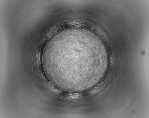 X0000093460757200710261020