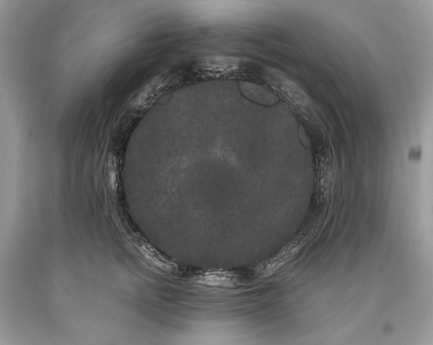 X0000093460758200710261020