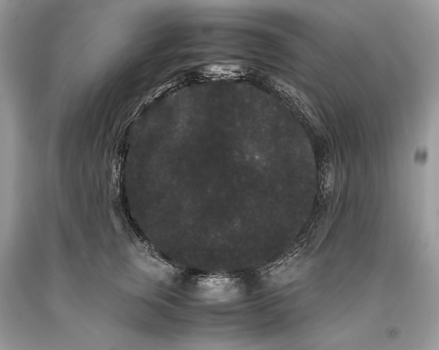 X0000093460759200710261020