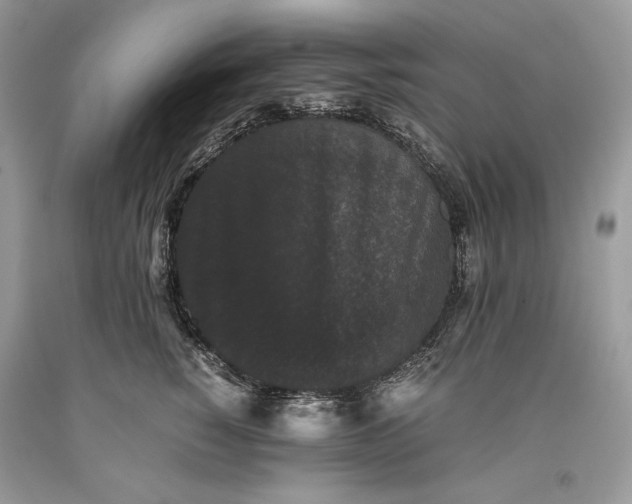 X0000093460760200710261020