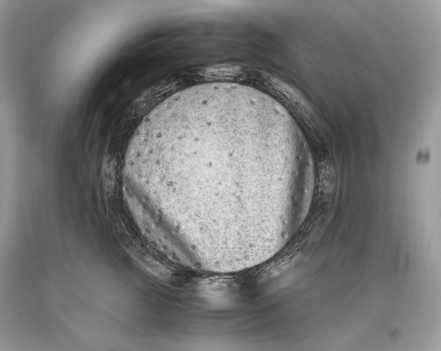 X0000093460761200710261020