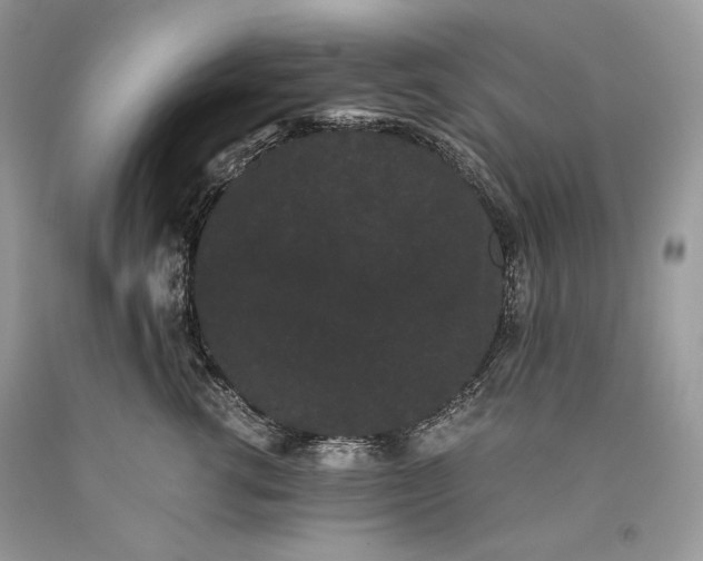 X0000093460762200710261020