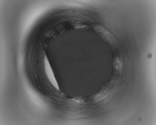 X0000093460763200710261020