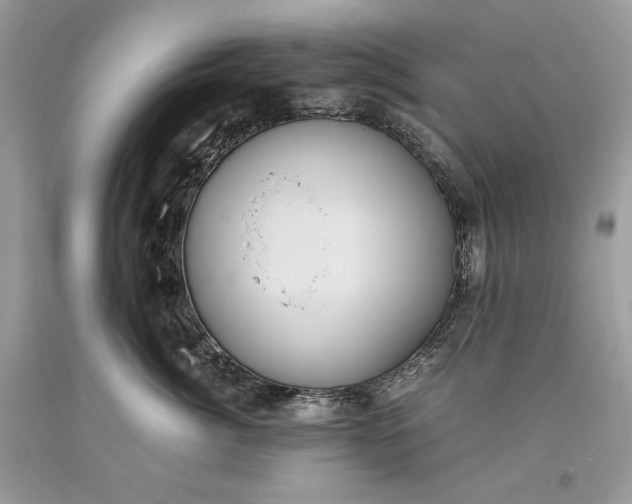 X0000093460764200710261020