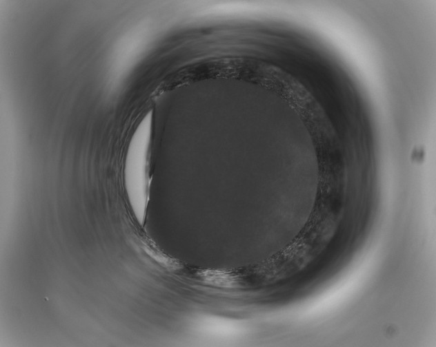 X0000093460766200710261020