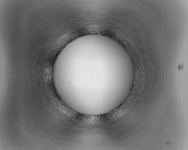 X0000093460768200710261020