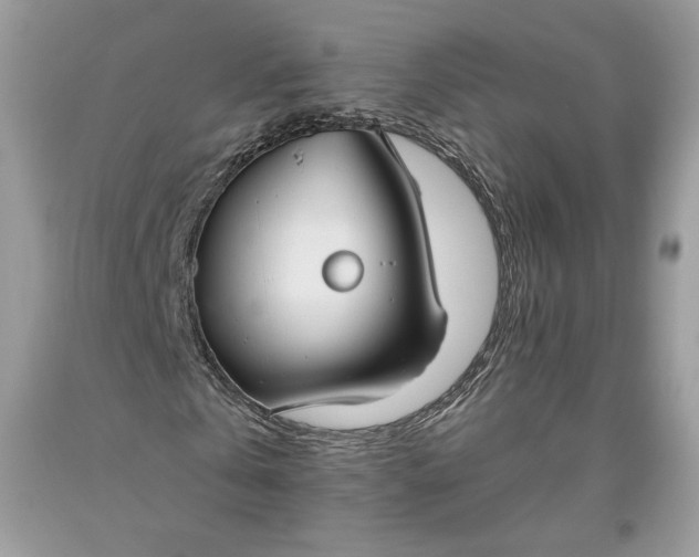 X0000093460769200710261020