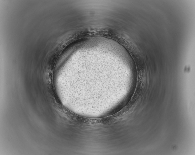 X0000093460770200710261020