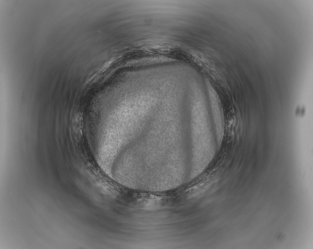 X0000093460772200710261020