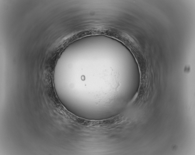 X0000093460773200710261020