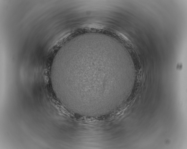 X0000093460774200710261020