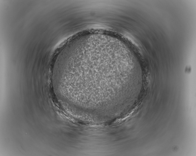 X0000093460775200710261020