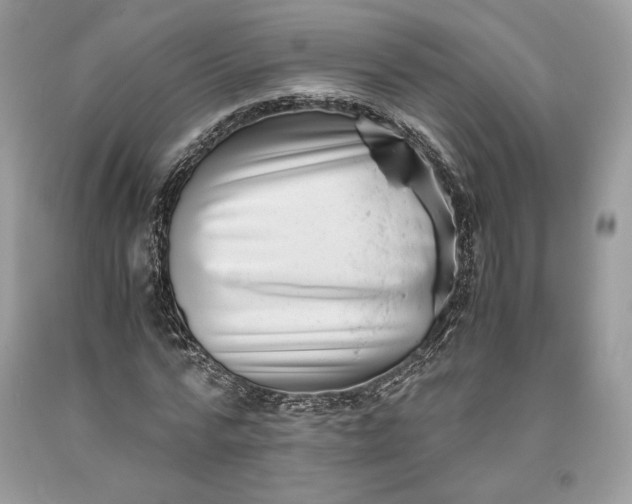 X0000093460776200710261020